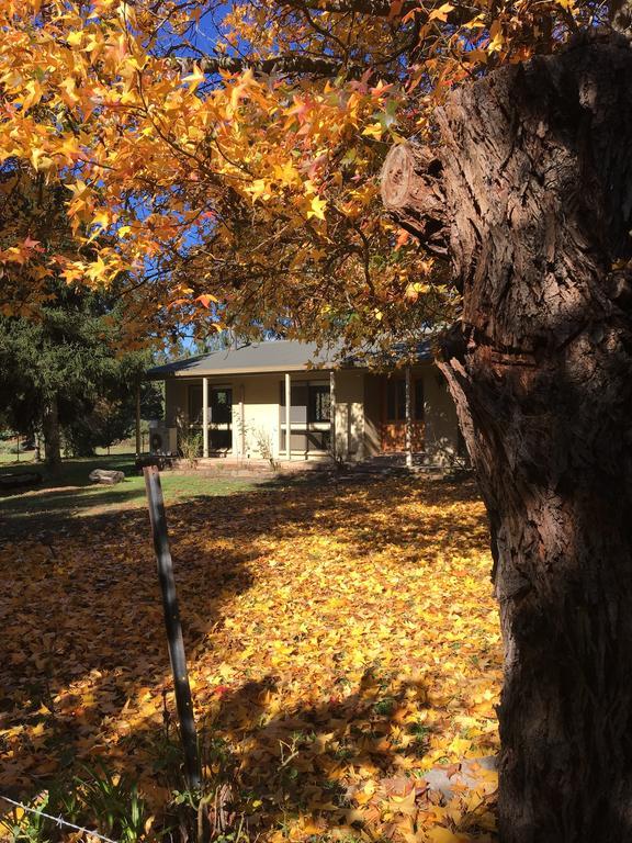 The Rocks Apartments Halls Gap Esterno foto