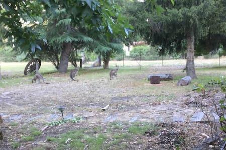 The Rocks Apartments Halls Gap Esterno foto
